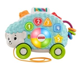 Fisher price hedgehog